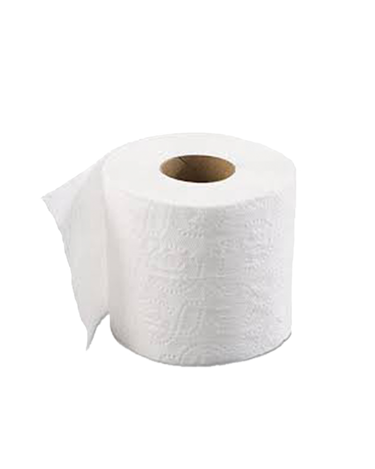 Toilet Tissue Sanitation Products